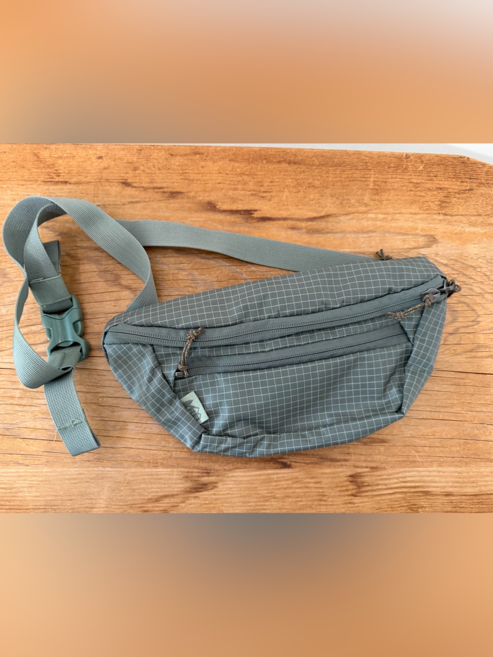 NWOT REI Trail 2 Waist Pack Sling Bag Grid Lightweight Nylon Green Unisex
